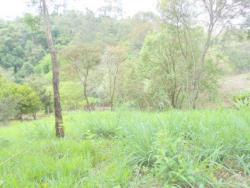 #TE0483 - Terreno para Venda em Louveira - SP - 2
