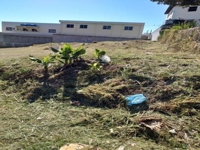 #TE5593 - Área para Venda em Vinhedo - SP - 2
