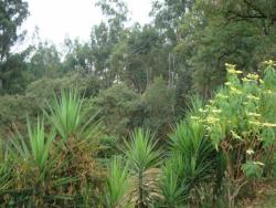 #TE0727 - Terreno para Venda em Vinhedo - SP - 3