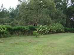 #TE0731 - Terreno para Venda em Vinhedo - SP - 3