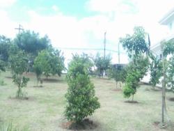 #CA0608 - Casa para Venda em Vinhedo - SP - 3