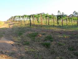 #AR0006 - Área para Venda em Louveira - SP - 2