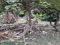 Terreno para Venda em Vinhedo - 2
