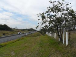 #AR0008 - Área para Venda em Vinhedo - SP - 3