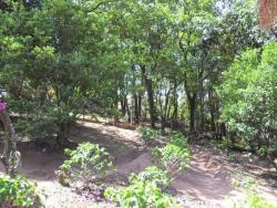 #CH0008 - Chácara para Venda em Vinhedo - SP - 2