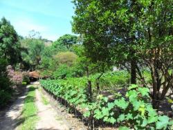#CH0008 - Chácara para Venda em Vinhedo - SP - 3